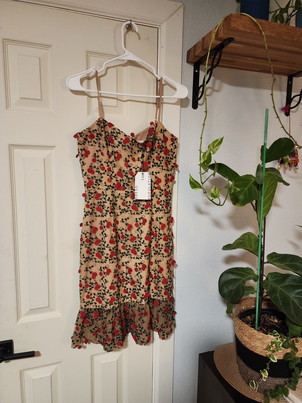 Dress the Population Beige Slip Dress with Red Floral Pom-Pom Trim